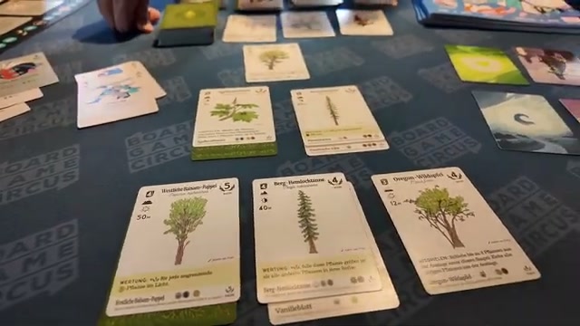 Drei Pflanzenkarten in der Auslage von Reforest